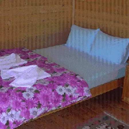 Onur 法拉尔雅